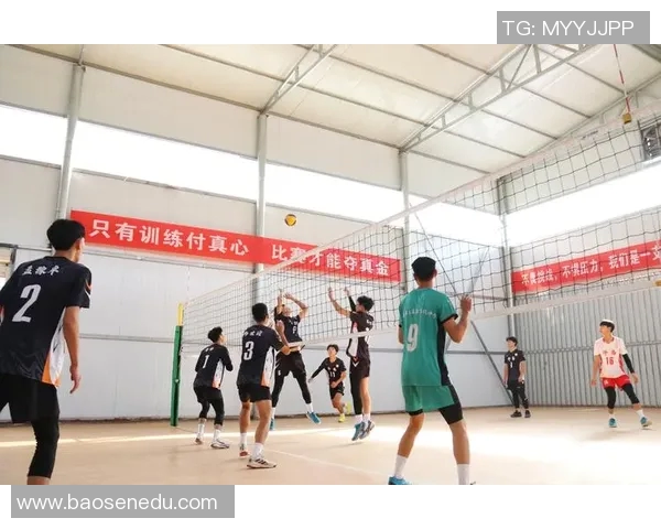 上海排球队状态分析与表现评估:数据透视与趋势解读 上海排球队状态分析与表现评估:数据透视与趋势解读