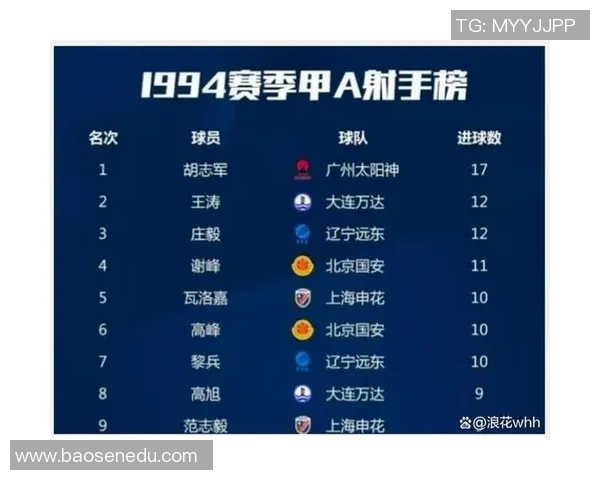 湖北甲a足球明星的崛起与未来发展展望解析