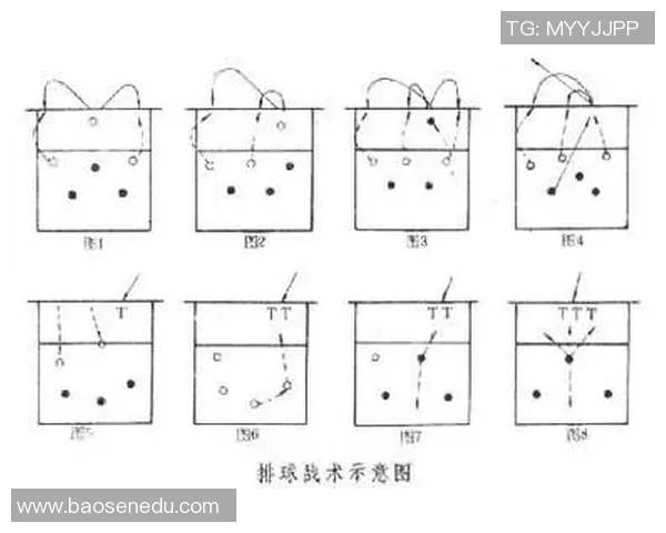 广州排球队在冠军赛中的战术分析与表现评估