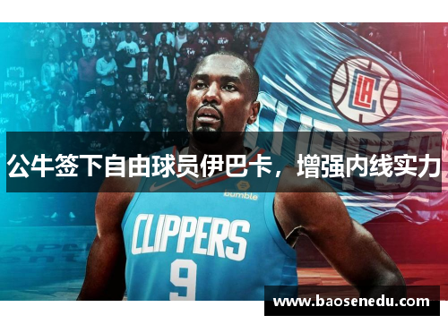 公牛签下自由球员伊巴卡，增强内线实力