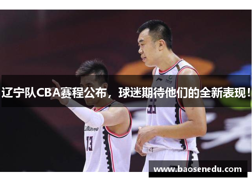 辽宁队CBA赛程公布，球迷期待他们的全新表现！