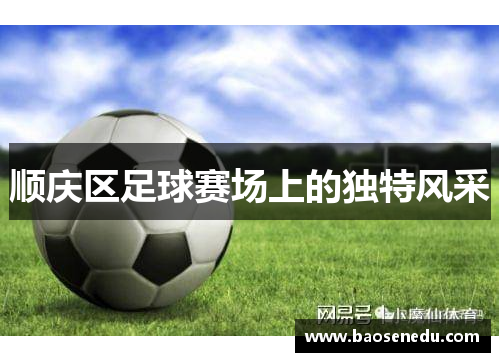 顺庆区足球赛场上的独特风采