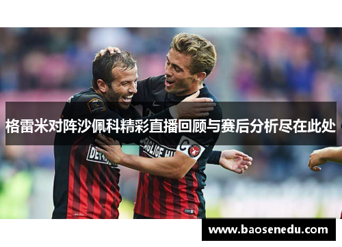 格雷米对阵沙佩科精彩直播回顾与赛后分析尽在此处