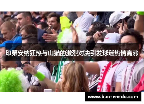 印第安纳狂热与山猫的激烈对决引发球迷热情高涨