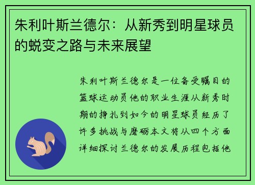 朱利叶斯兰德尔：从新秀到明星球员的蜕变之路与未来展望